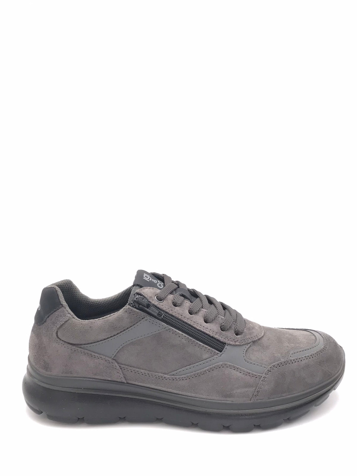 Scarpa Ernest antracite 8617411 ANTRACITE IGI&CO 