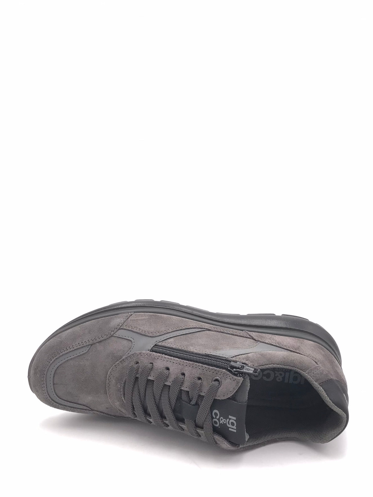 Scarpa Ernest antracite 8617411 ANTRACITE IGI&CO 