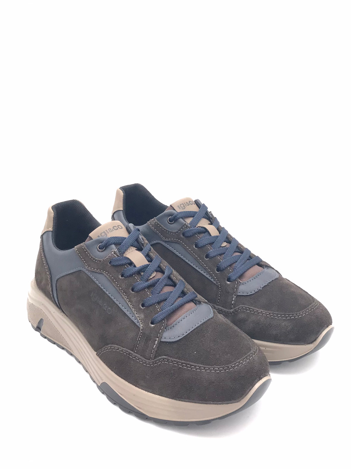 Sneakers Seth caffe-blu 8640311 CAFFE-BLU IGI&CO 