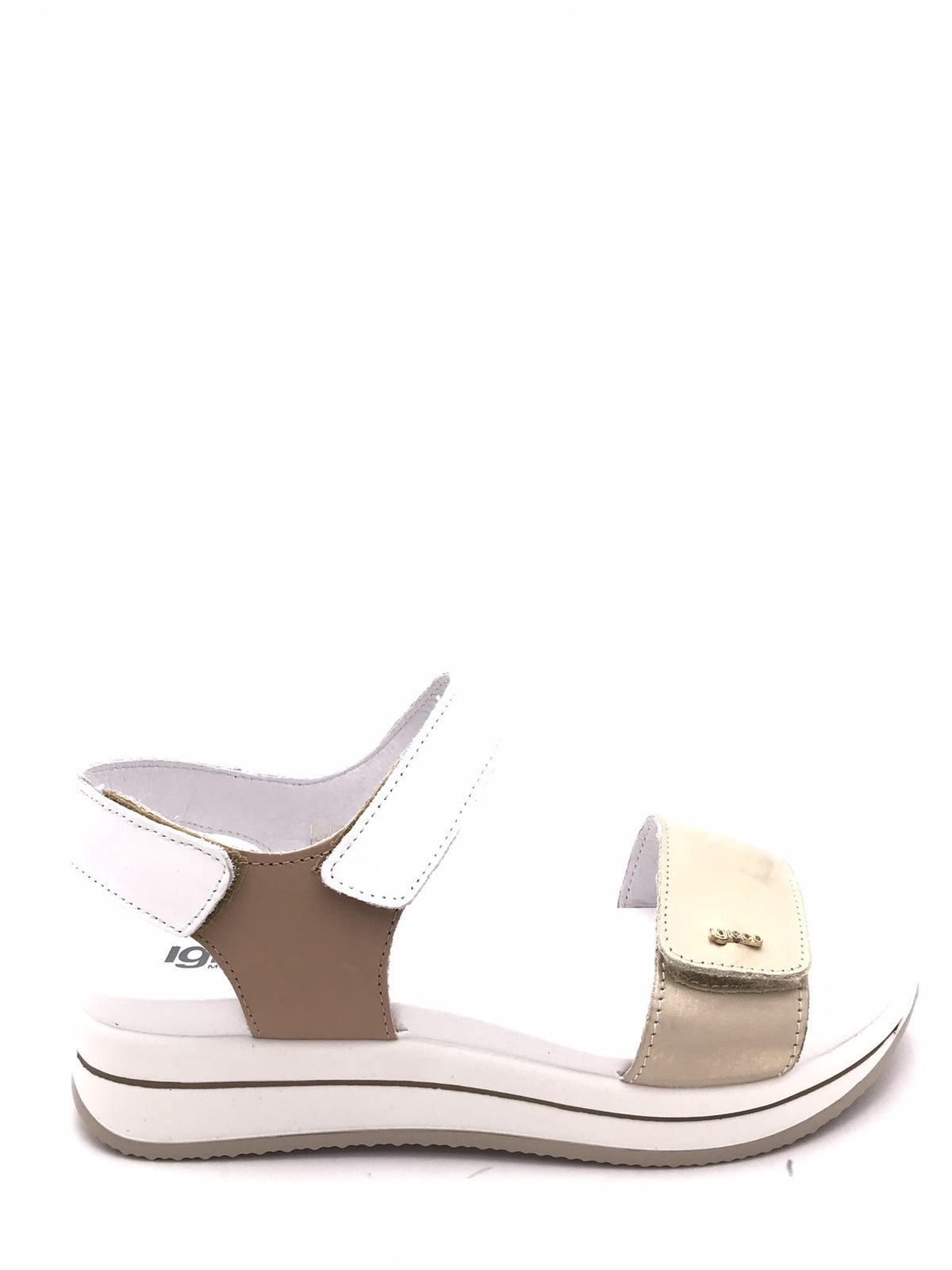 IGI&CO 7675444PLATINO