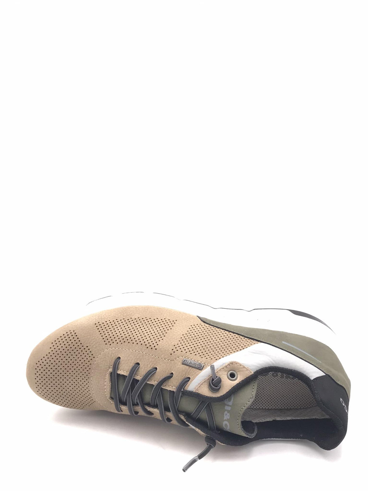 Sneakers Silko nocciola 1132811 NOCCIOLA IGI&CO 