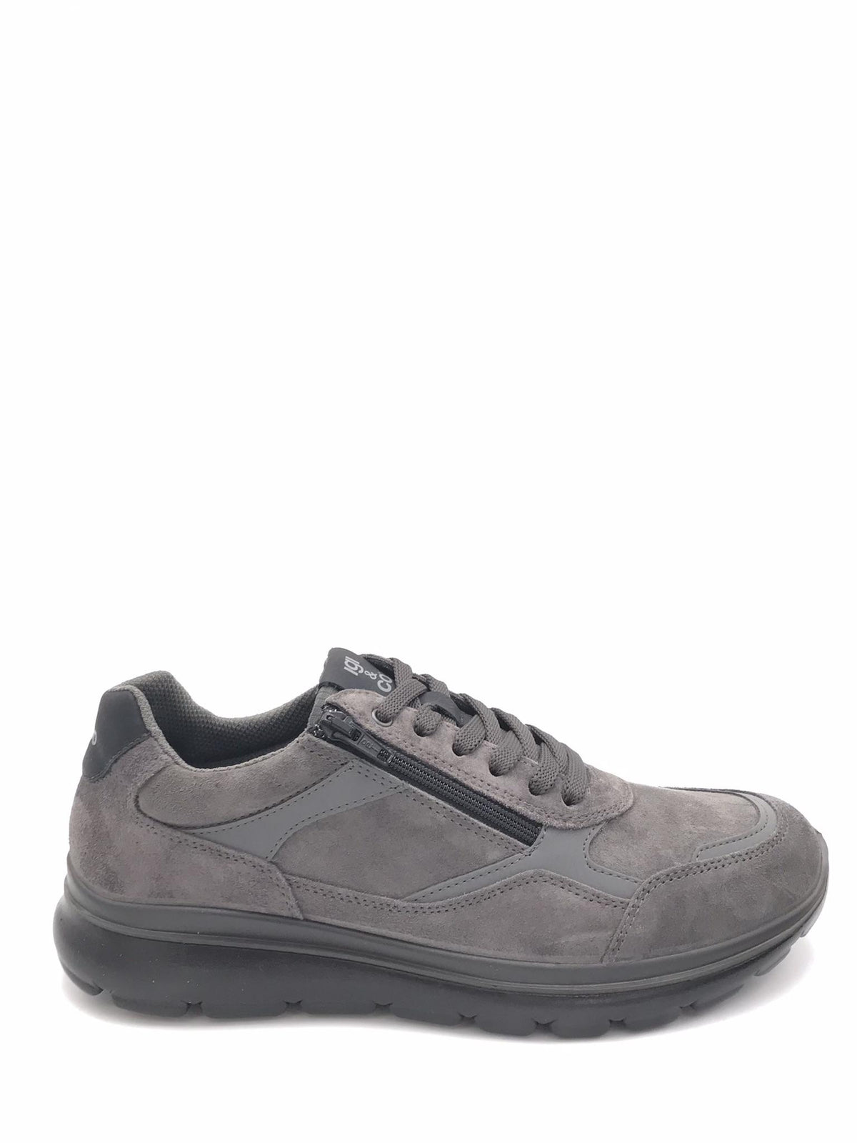 Scarpa Ernest antracite 8617411 ANTRACITE IGI&CO 