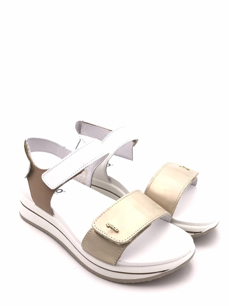 IGI&CO 7675444PLATINO