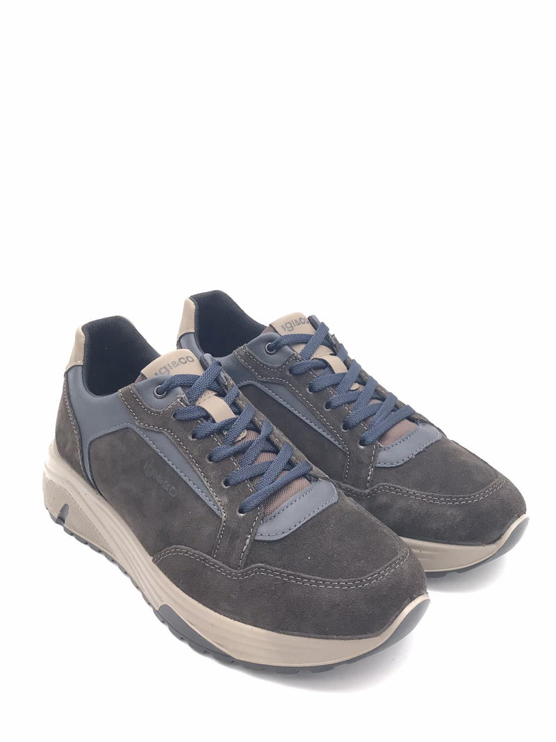 Sneakers Seth caffe-blu 8640311 CAFFE-BLU IGI&CO 